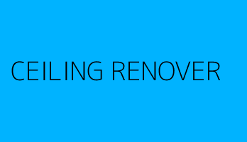 CEILING RENOVER